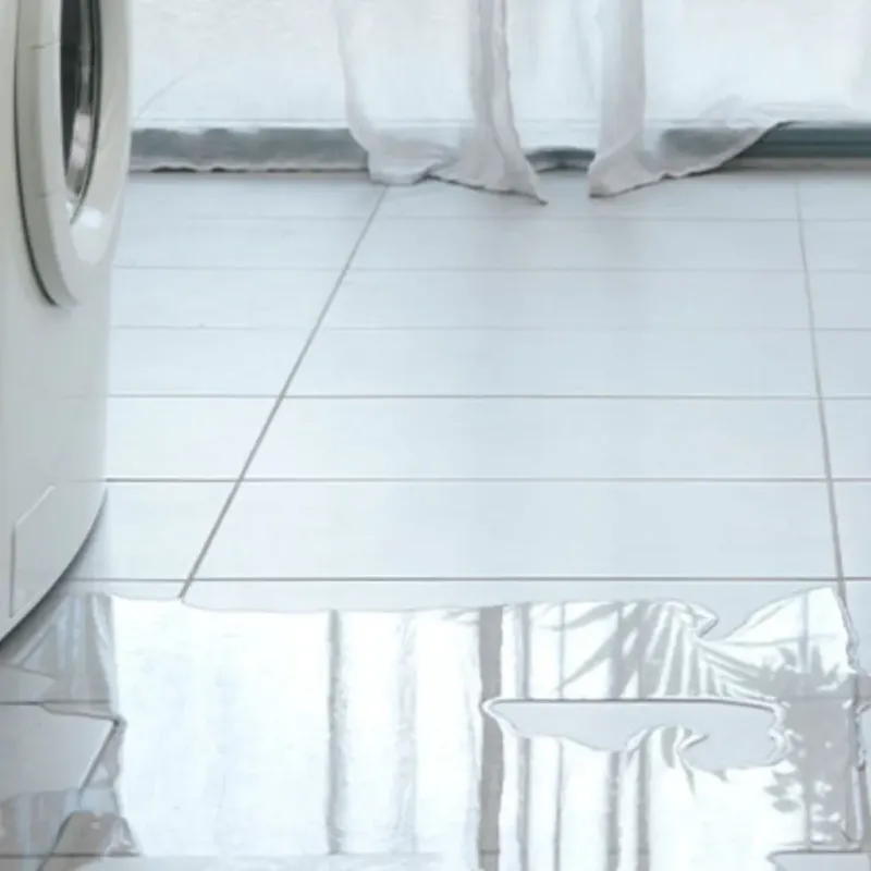 Appliance Leak Cleanup in Skaneateles, NY
